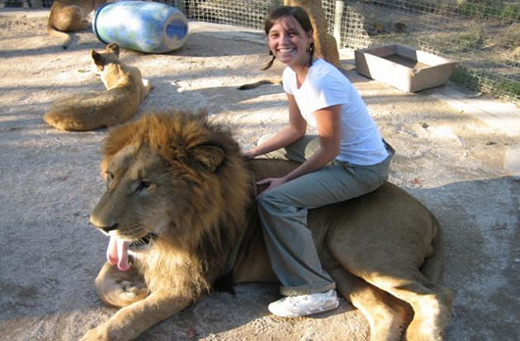 vistor-sits-lion-lujan-zoo