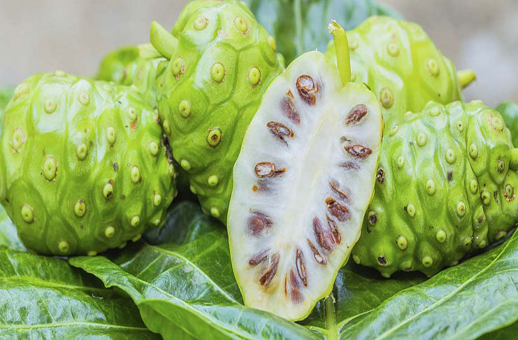 10-Side-Effects-Of-Noni-You-Should-Be-Aware-Of2